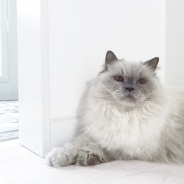 yuchiさんの実例写真