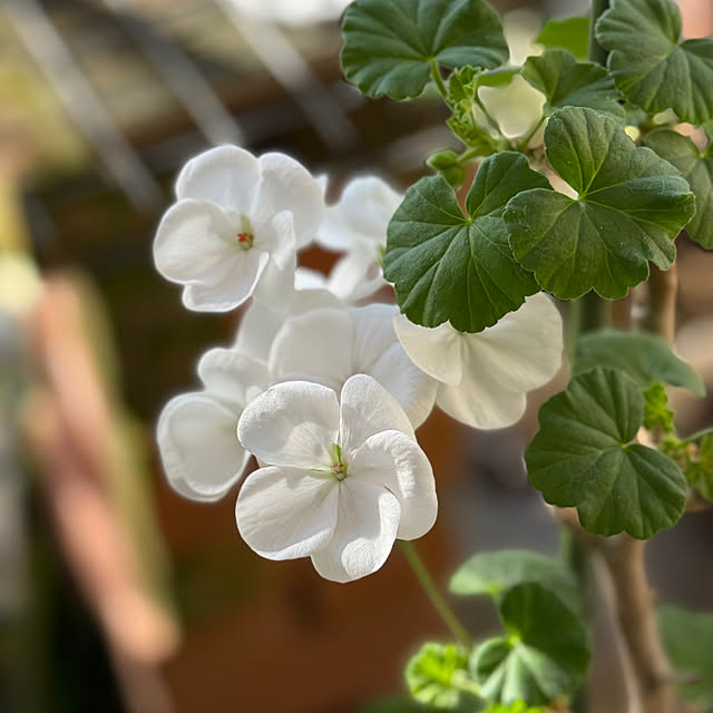 Aqettyさんの部屋