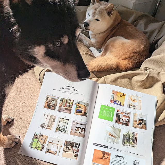 ponhanaさんの実例写真