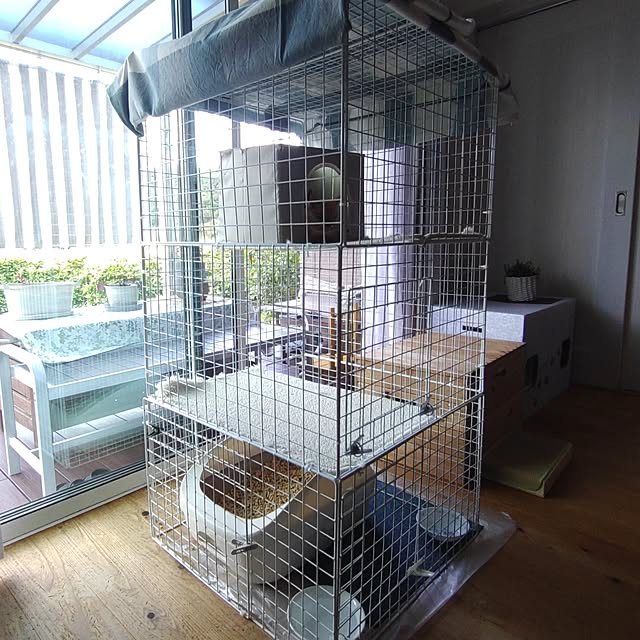 38catさんの実例写真