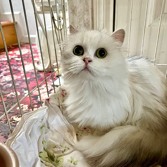 AYUKOさんの部屋
