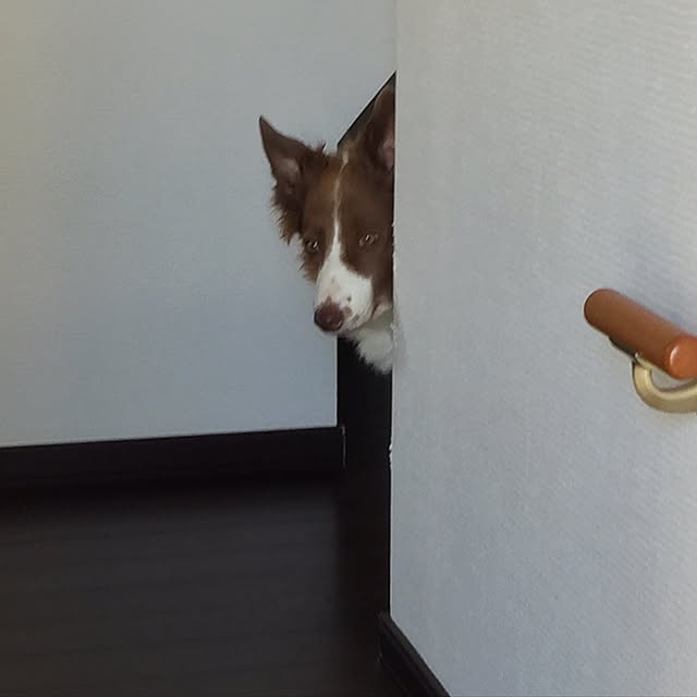 taeさんの実例写真