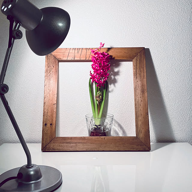 RARAさんの実例写真