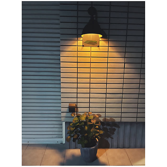 BTGさんの部屋