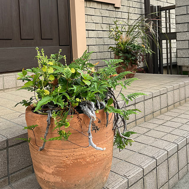 botanさんの部屋