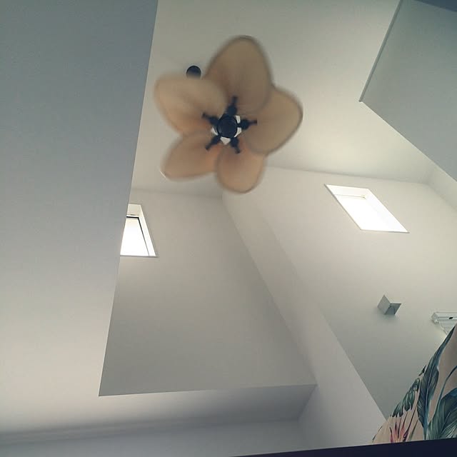 a.alohaさんの実例写真