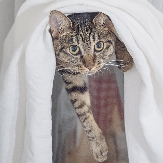 oliveさんの部屋