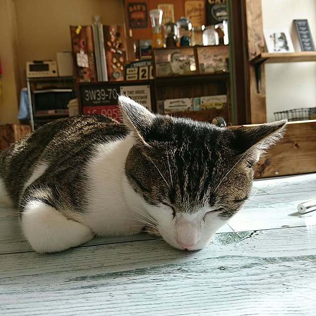 kiraさんの実例写真