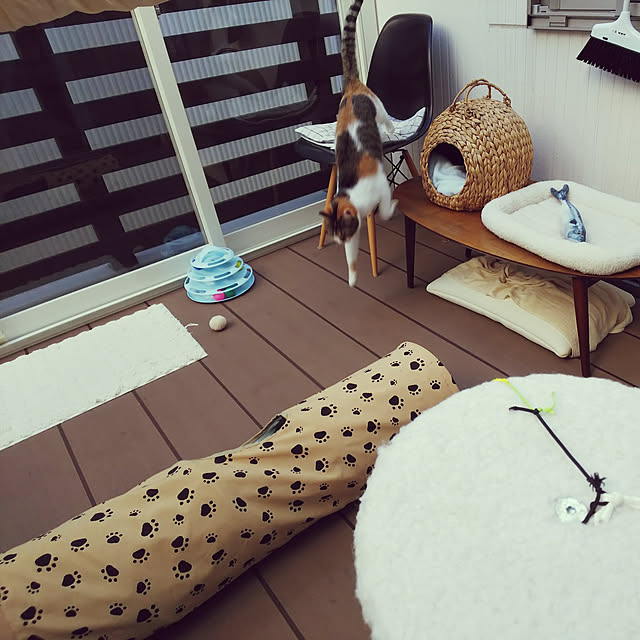 arisaさんの実例写真