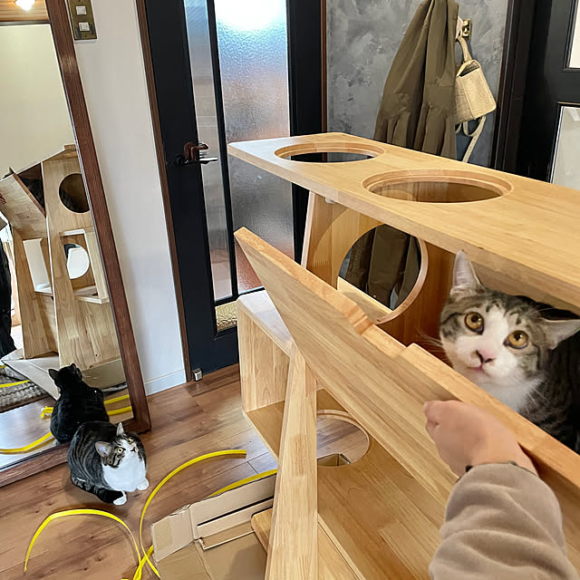 Yukinekoさんの部屋