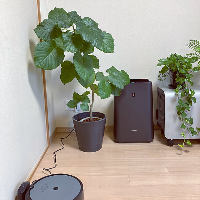 LoveMさんの部屋