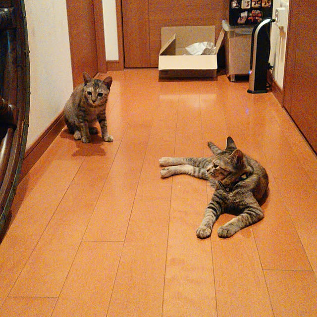 genさんの実例写真