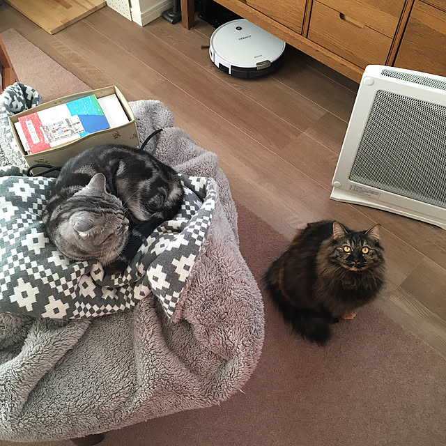 mikomaruさんの実例写真