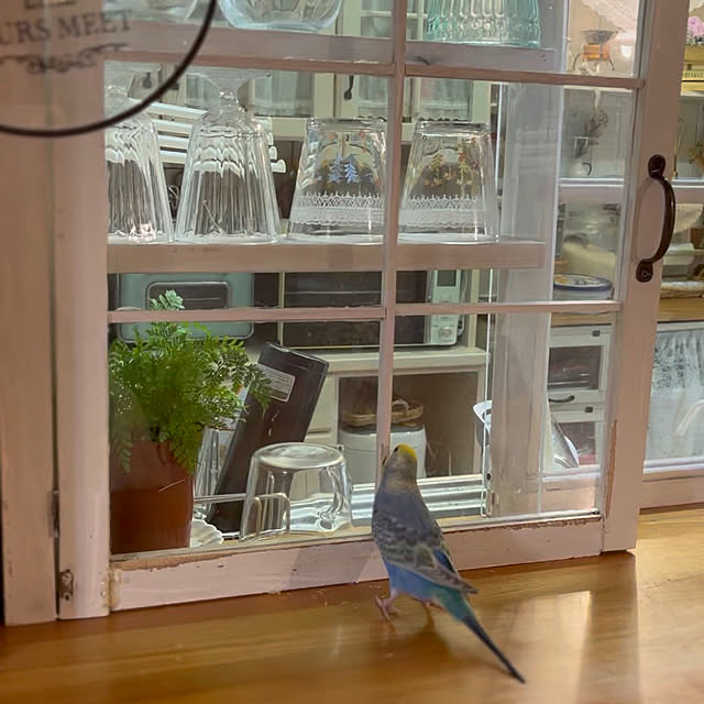 Atsukoさんの部屋