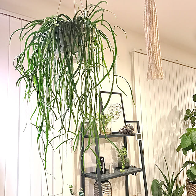 hm_myhomeさんの実例写真