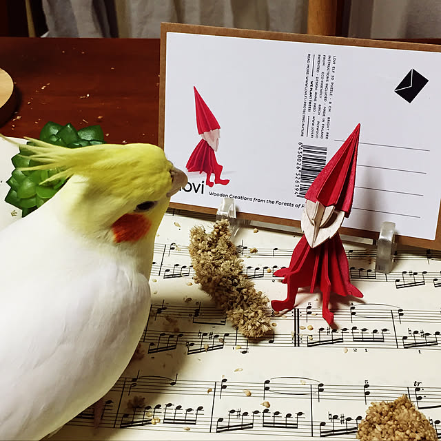 toratanさんの実例写真
