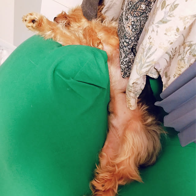 keikomokonさんの実例写真