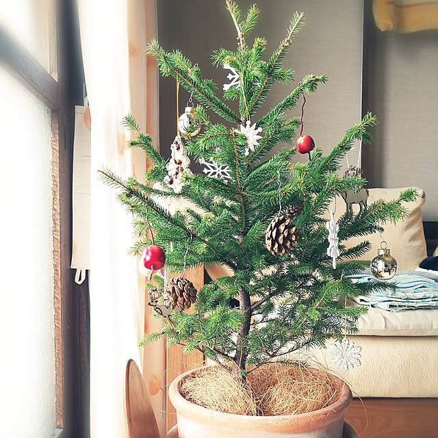 moominさんの実例写真