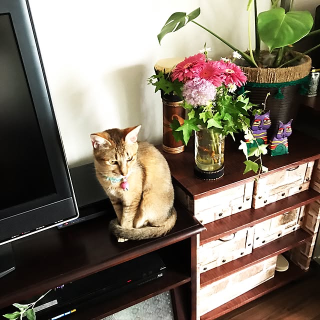1633さんの実例写真