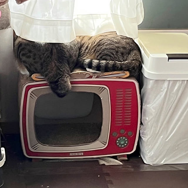 marinkarinさんの部屋