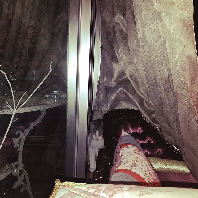 emmyyさんの実例写真