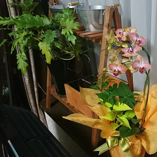 runaさんの実例写真