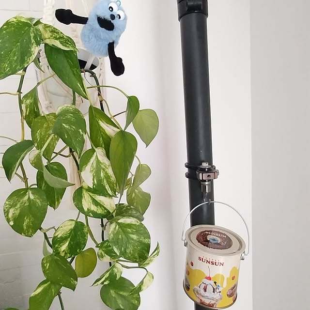 yamamaさんの部屋