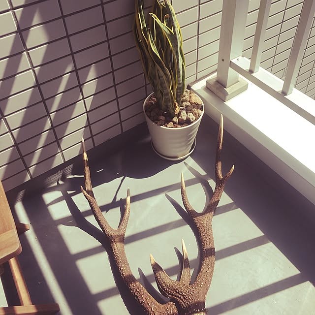 gurebekoさんの実例写真