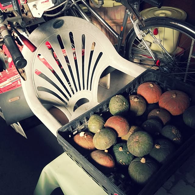 MMさんの実例写真