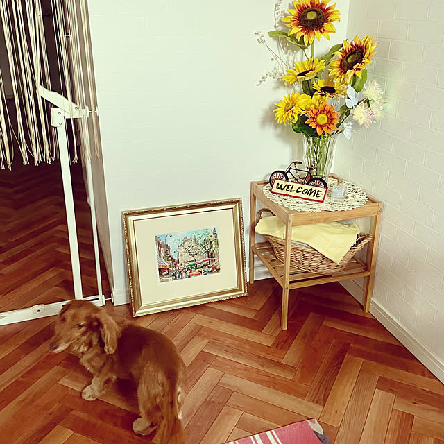 Maiさんの部屋