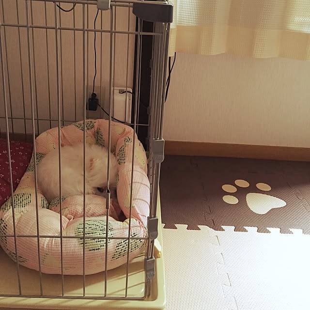 Misaさんの実例写真