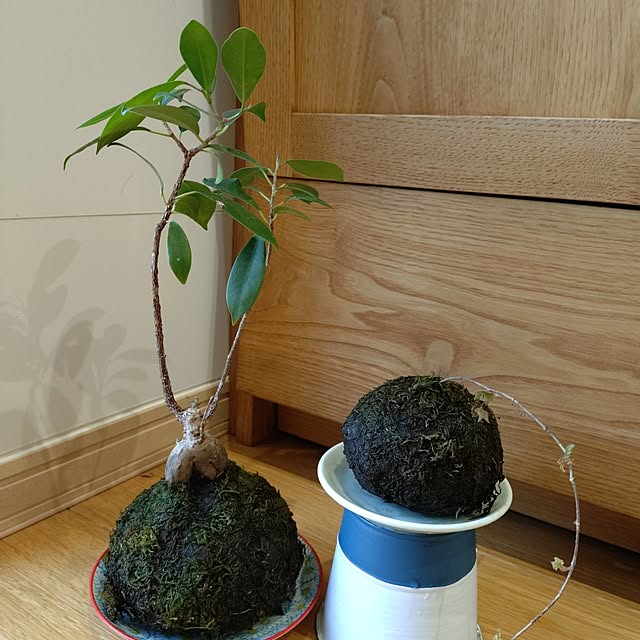 nagaseさんの部屋