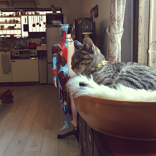 Mさんの実例写真