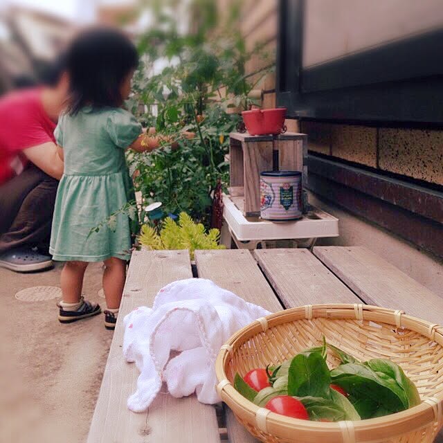fish.さんの実例写真
