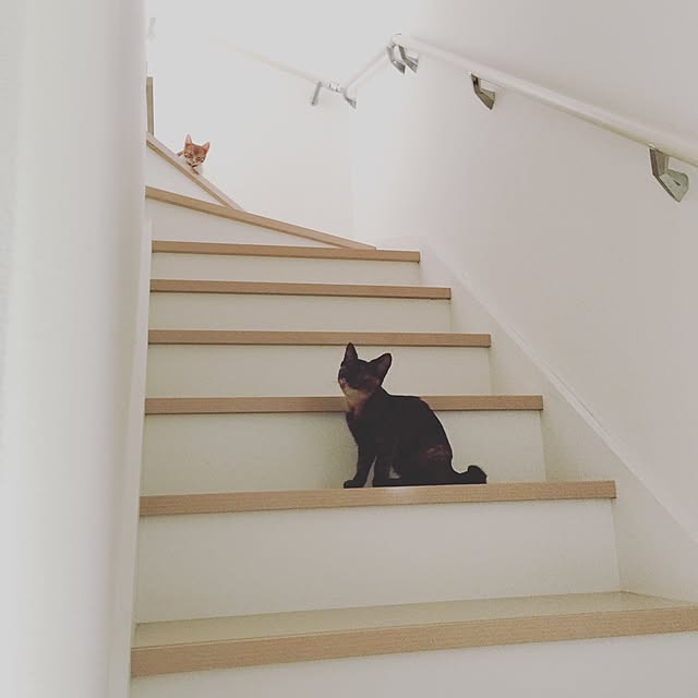 y.さんの実例写真