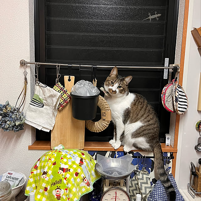 jijiさんの実例写真