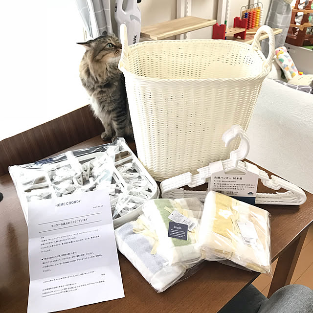 yuki0511さんの実例写真