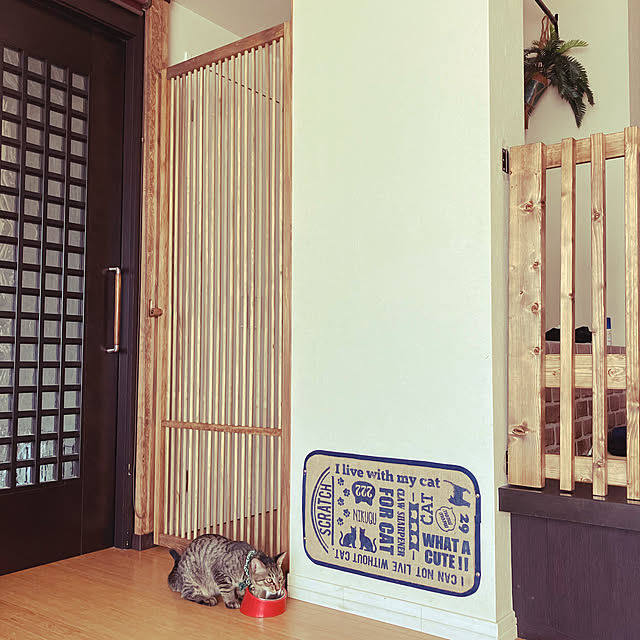 machaさんの実例写真