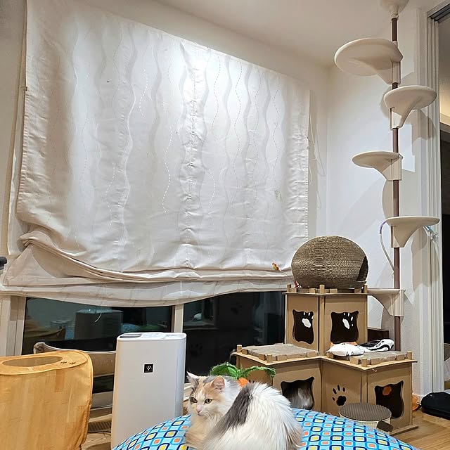 akiko6193さんの部屋