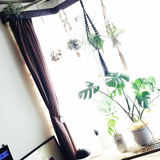 PUNさんの実例写真