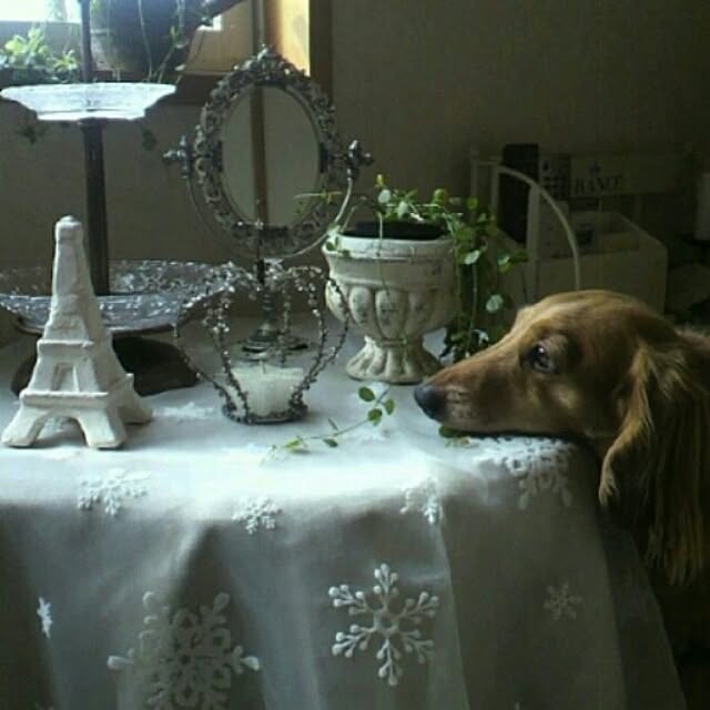 deco-ranさんの実例写真