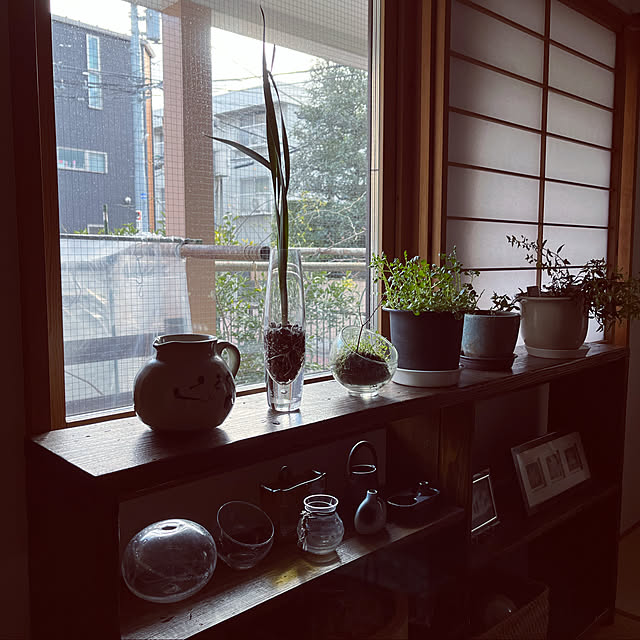 botanさんの実例写真
