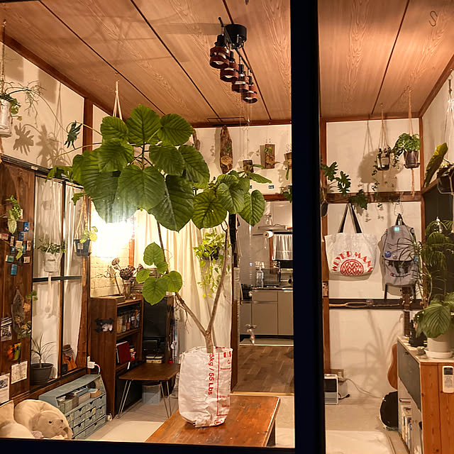 sleeping-dropさんの部屋