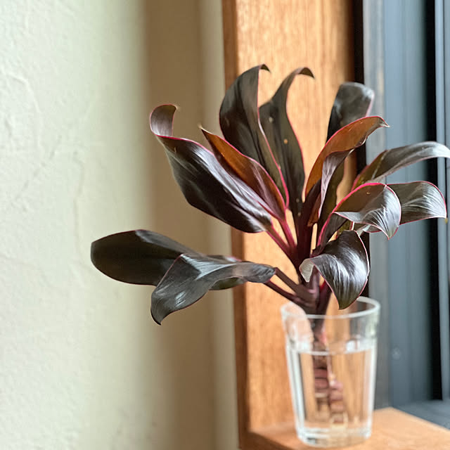 Kikko.さんの部屋