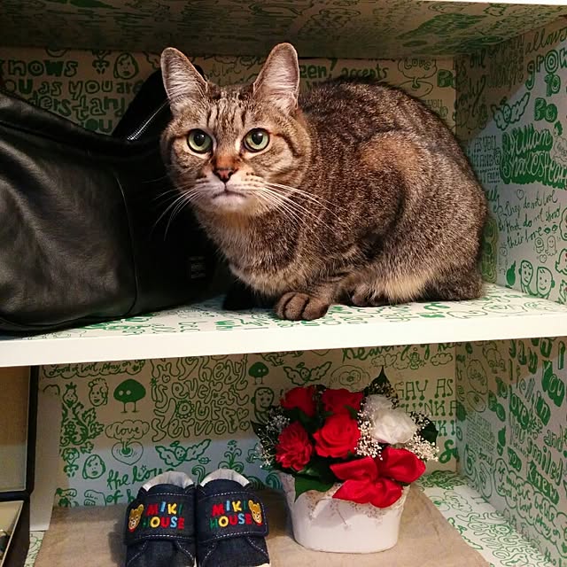 Kiyomiさんの実例写真