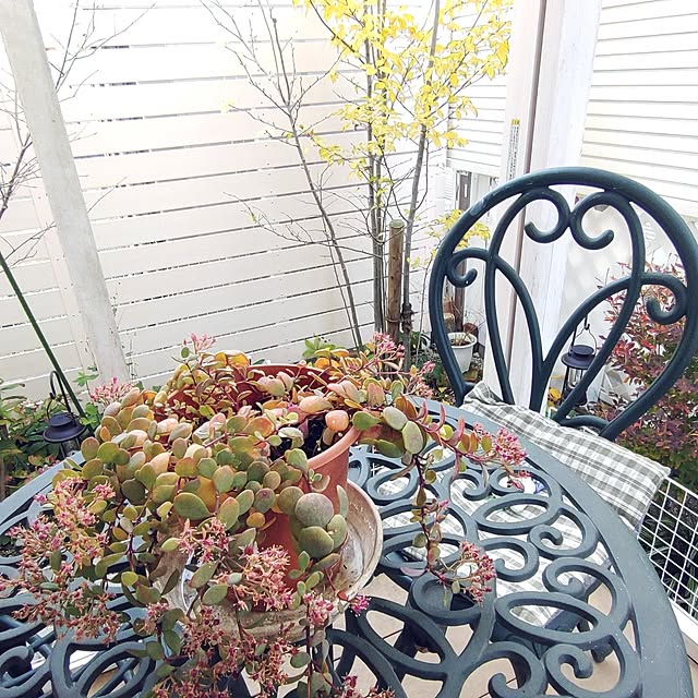 Bienvenueさんの部屋