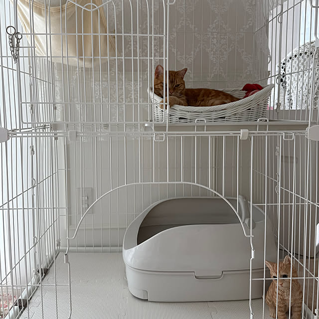 m623さんの部屋