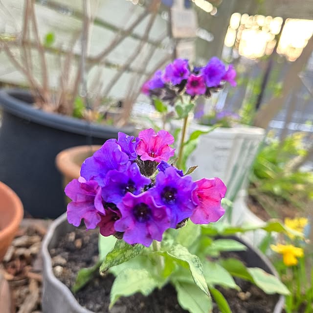 min_nimさんの実例写真