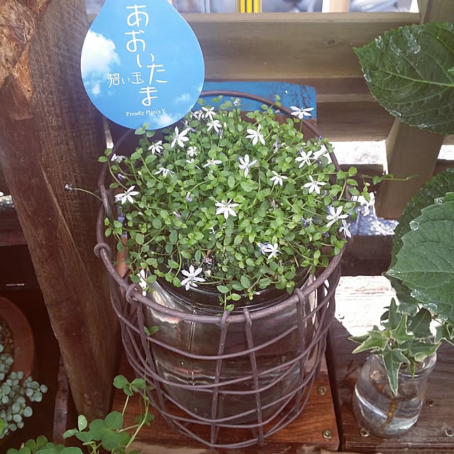 karinさんの実例写真