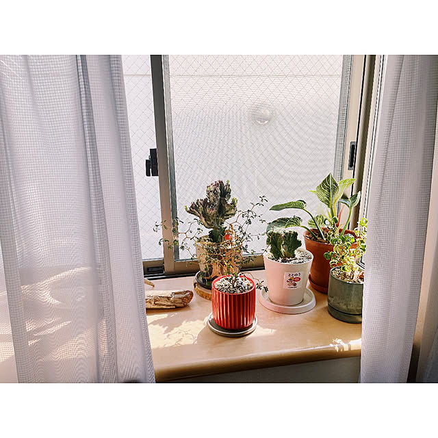 w_end_0625さんの実例写真